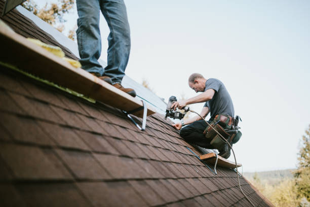 Roof Insulation in Sheridan, IL